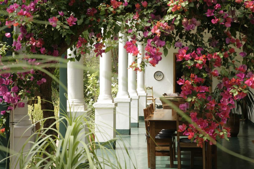 York Lodge Harare Exterior foto